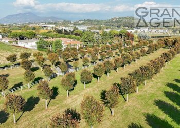 Foto 37 - Azienda agricola località oca, Lazise - foto 37