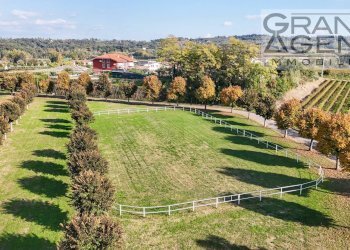 Foto 38 - Azienda agricola località oca, Lazise - foto 38