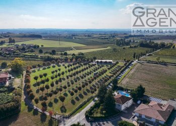 Foto 39 - Azienda agricola località oca, Lazise - foto 39