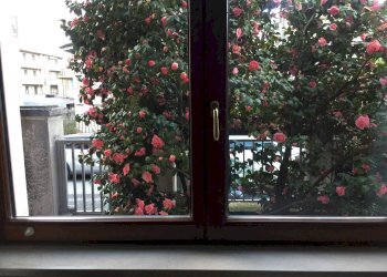 Foto 23 - Bilocale VIA GALVANI, Legnano - foto 23