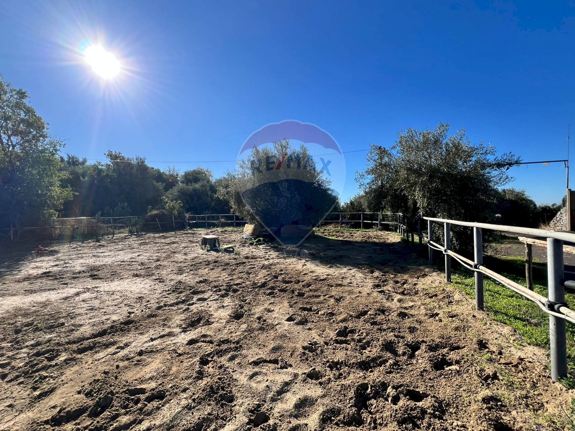 Giardino - Agricultural land Contrada Palmentelli
snc, Belpasso - photo 2