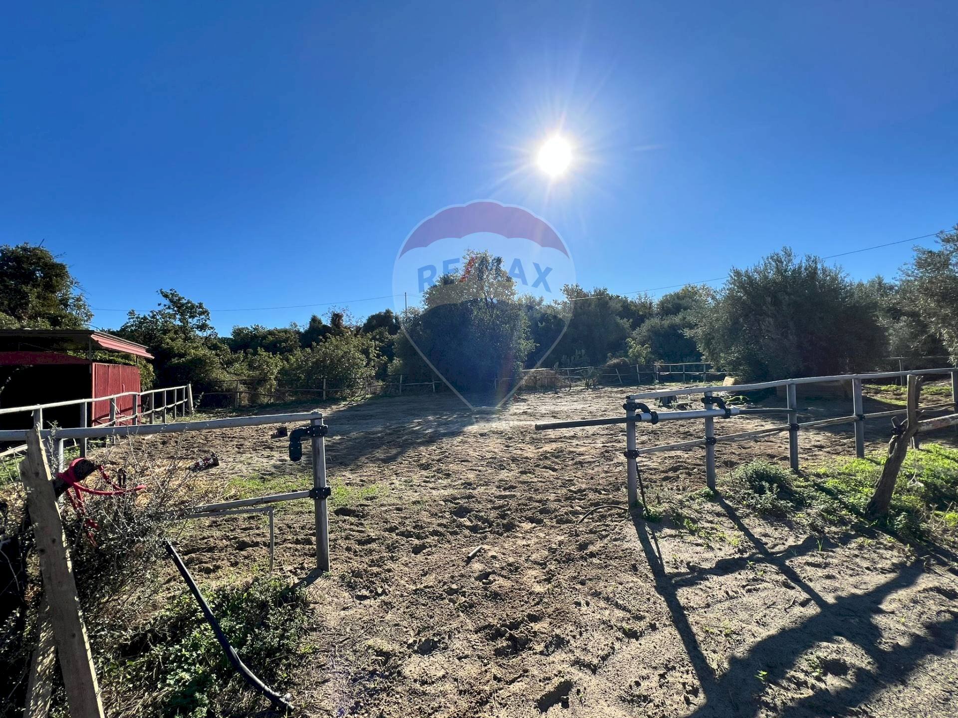 Giardino - Agricultural land Contrada Palmentelli
snc, Belpasso - photo 3