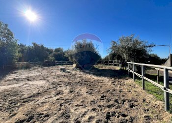 Giardino - Agricultural land Contrada Palmentelli
snc, Belpasso - photo 2