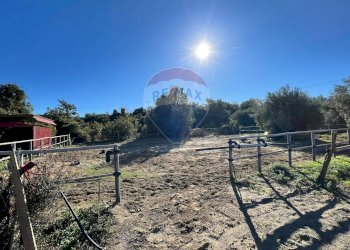 Giardino - Agricultural land Contrada Palmentelli
snc, Belpasso - photo 3