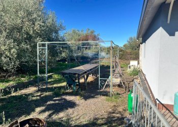 Giardino - Agricultural land Contrada Palmentelli
snc, Belpasso - photo 8