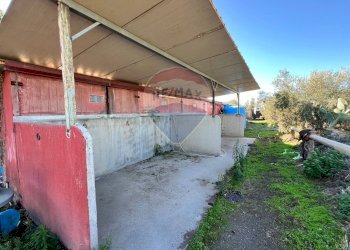 Terrazza - Agricultural land Contrada Palmentelli
snc, Belpasso - photo 11