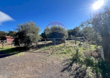 Giardino - Agricultural land Contrada Palmentelli
snc, Belpasso - photo 20