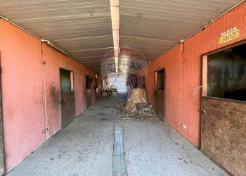 Parcheggio - Agricultural land Contrada Palmentelli
snc, Belpasso - photo 22