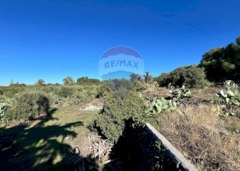 Vista delle montagne - Agricultural land Contrada Palmentelli
snc, Belpasso - photo 23