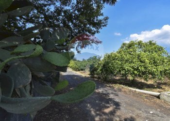 Giardino - Terreno agricolo Via Chiuse
 
23, Acireale - foto 19