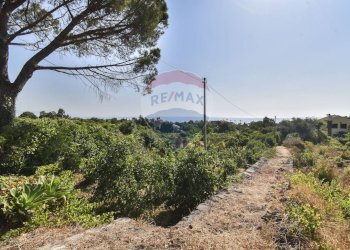 Giardino - Terreno agricolo Via Chiuse
 
23, Acireale - foto 2