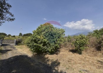 Giardino - Terreno agricolo Via Chiuse
 
23, Acireale - foto 9