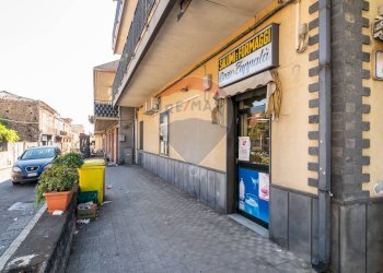 Terrazza - Attività Commerciale Via della Regione
 
130, San Giovanni la Punta - foto 19