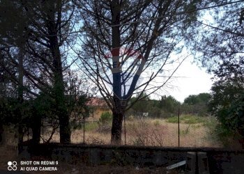 Giardino - Terreno edificabile Via della Resistenza
 
snc, Pedara - foto 1