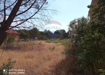 Giardino - Terreno edificabile Via della Resistenza
 
snc, Pedara - foto 2