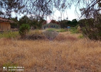 Giardino - Terreno edificabile Via della Resistenza
 
snc, Pedara - foto 4
