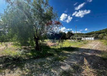 Giardino - Appartamento Località Palude Mezzane, Vieste - foto 8