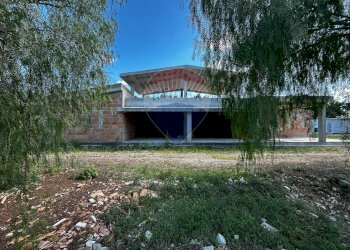 Casa all\'aperto - Appartamento Località Palude Mezzane, Vieste - foto 23