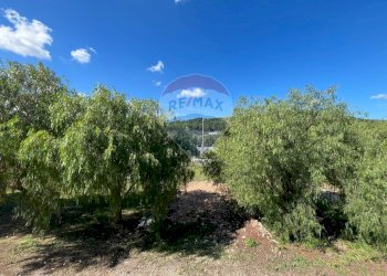 Giardino - Appartamento Località Palude Mezzane, Vieste - foto 27