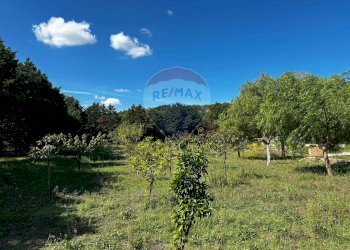 Vista delle montagne - Appartamento Località Palude Mezzane, Vieste - foto 28