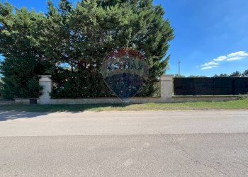 Non correlato - Appartamento Località Palude Mezzane, Vieste - foto 30