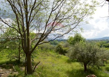 Giardino - Independent house via appia nuova
 
36, Calvi - photo 5