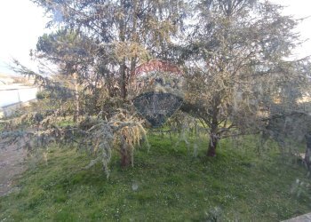 Giardino - Casa indipendente Sant'Agata De' Goti - foto 16