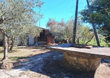 Giardino - Trilocale Santi Cosma e Damiano - foto 15