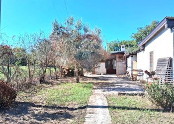 Giardino - Trilocale Santi Cosma e Damiano - foto 16