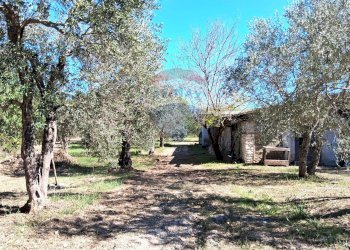 Giardino - Trilocale Santi Cosma e Damiano - foto 17