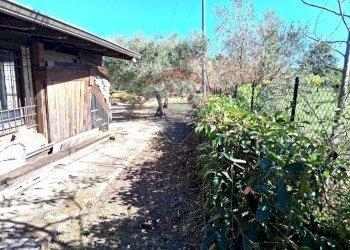 Giardino - Trilocale Santi Cosma e Damiano - foto 18