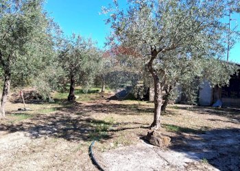 Giardino - Trilocale Santi Cosma e Damiano - foto 22