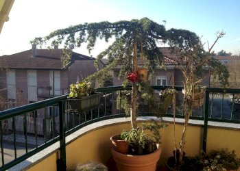 Foto 18 - Quadrilocale VIA POGDORA
 
54, Legnano - foto 18