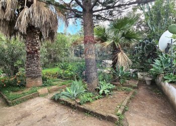 Giardino - Villa Contrada Malpertugio
 
SNC, Pollina - foto 39