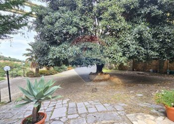 Giardino - Attività Commerciale contrada malpetrugio, Pollina - foto 3