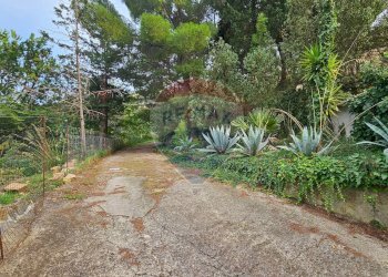 Giardino - Attività Commerciale contrada malpetrugio, Pollina - foto 7