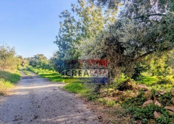 Foto 4 - Terreno agricolo via Nazionale, Calatabiano - foto 4