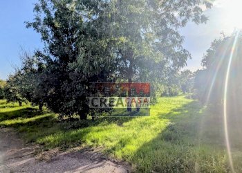 Foto 5 - Terreno agricolo via Nazionale, Calatabiano - foto 5