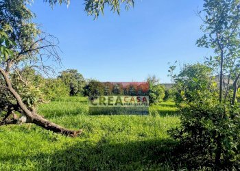 Foto 7 - Terreno agricolo via Nazionale, Calatabiano - foto 7