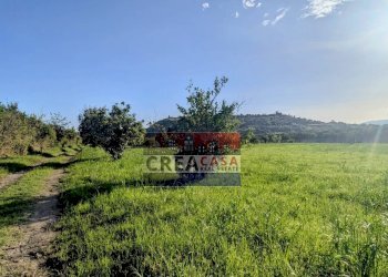 Foto 12 - Terreno agricolo via Nazionale, Calatabiano - foto 12