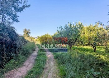 Foto 17 - Terreno agricolo via Nazionale, Calatabiano - foto 17