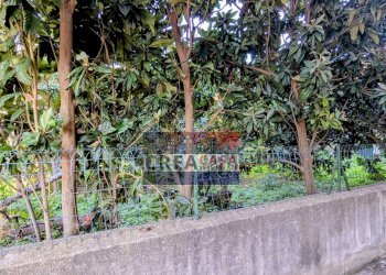 Foto 15 - Terreno edificabile Alessandro Manzoni, Calatabiano - foto 15