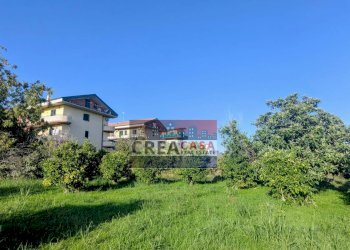 Foto 6 - Terreno agricolo via Nazionale, Calatabiano - foto 6