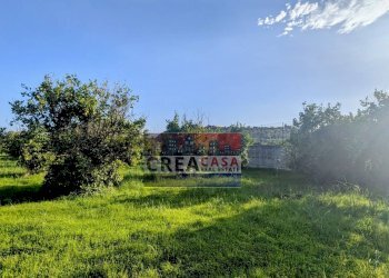 Foto 11 - Terreno agricolo via Nazionale, Calatabiano - foto 11