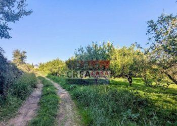Foto 16 - Terreno agricolo via Nazionale, Calatabiano - foto 16