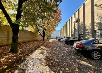 Giardino - Capannone via Sofocle, Agrate Brianza - foto 29