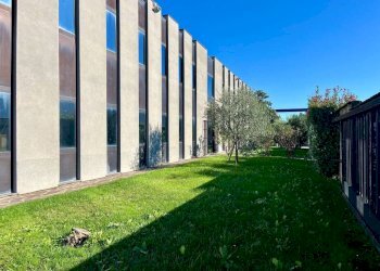 Giardino - Capannone via Sofocle, Agrate Brianza - foto 6