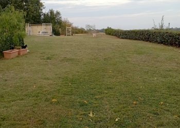 Foto 7 - Quadrilocale Colle Sant Andrea Ripatransone, Ripatransone - foto 7