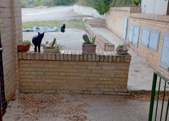 Foto 13 - Quadrilocale Colle Sant Andrea Ripatransone, Ripatransone - foto 13