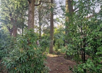 Terreno - Villa via Bordone Paris, 29, Induno Olona - foto 2